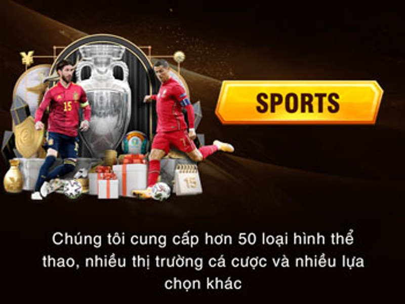 Cá Cược Thể Thao 123win.com
