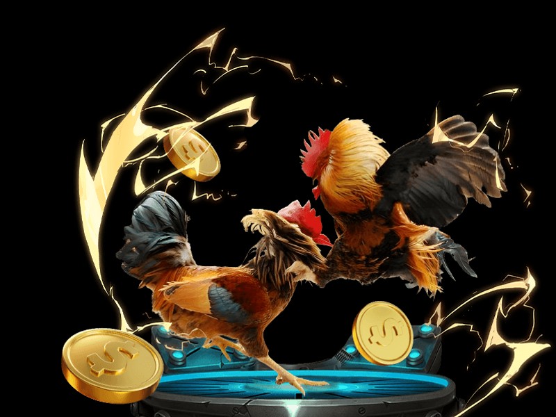 Màn hình cài đặt tệp APK trên Android